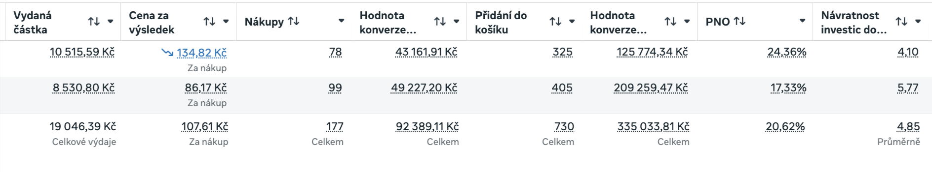 Výpis výkonu kampaní na Meta Ads, nákupy, hodnota konverze, PNO a návratnost investic